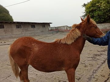 Hacienda en Aloag