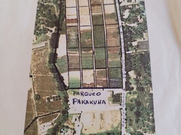 Finca Agricola en Checa