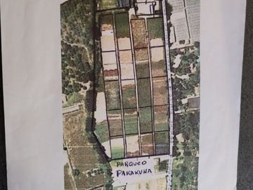 Finca Agricola en Checa