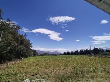 Finca Agricola en Checa