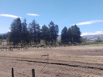 Finca Agricola en Checa