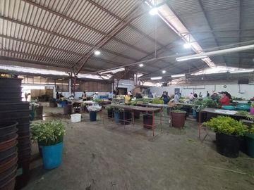 Finca Agricola en Checa