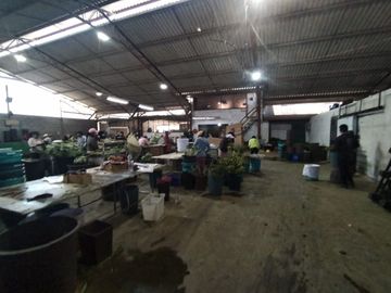 Finca Agricola en Checa