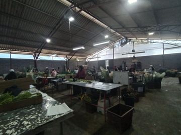 Finca Agricola en Checa