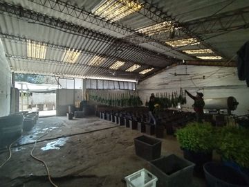 Finca Agricola en Checa