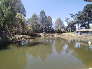 Finca Agricola en Checa