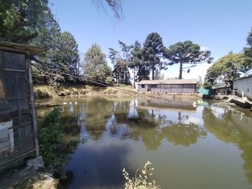 Finca Agricola en Checa