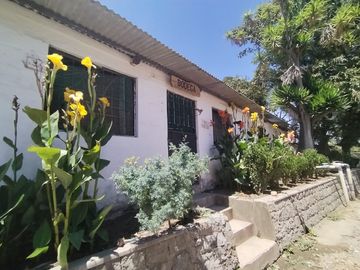 Finca Agricola en Checa
