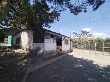 Finca Agricola en Checa