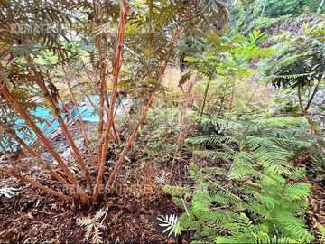 Casa en venta en Cuernavaca de Remate Bancario