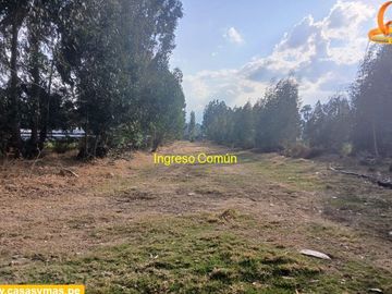 VENDO TERRENO EN EL EX FUNDO SANTA ANA EN EL TAMBO - HUANCAYO