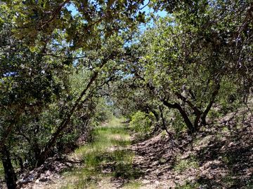 APROVECHA 128 HECT RUMBO SIERRA DE LOBOS, CARR LEON A SAN FELIPE, CON FRENTE A CARRETERA, MANANTIALES, SEMBRADIOS DE MAGUEYES, NOPALES, BORDOS, BASTAN