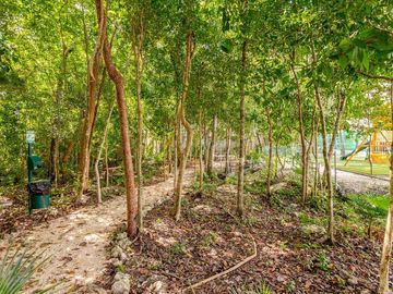 Departamento en Renta de Largo Plazo en Puerto Morelos Town | 2 Recámaras | Selva Escondida 2