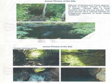 125.4-Hectare Lot For Sale at Guimaras(Brgy.Isidro Buenavista)