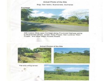 125.4-Hectare Lot For Sale at Guimaras(Brgy.Isidro Buenavista)