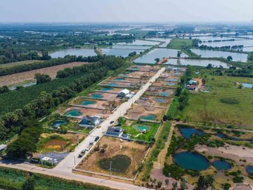 ขายด่วน! ที่ดินจัดสรร โครงการคันนาวิลล์ 2 คลอง 13 หนองเสือ ปทุมธานี ขนาด 407 ตร.วา พร้อมเริ่มต้นชีวิตพอเพียง ท่ามกลางธรรมชาติ!