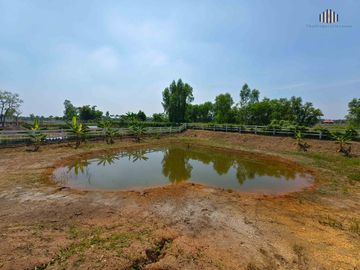 ขายด่วน! ที่ดินจัดสรร โครงการคันนาวิลล์ 2 คลอง 13 หนองเสือ ปทุมธานี ขนาด 407 ตร.วา พร้อมเริ่มต้นชีวิตพอเพียง ท่ามกลางธรรมชาติ!
