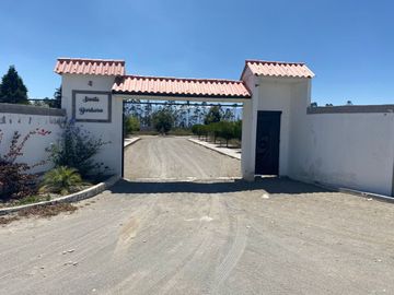 TERRENO DE VENTA EN MALCHINGUI