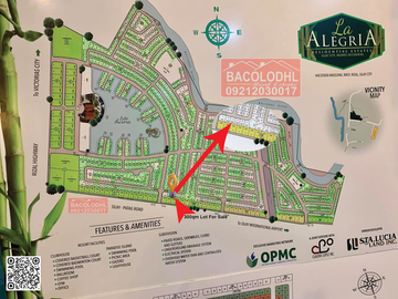 300sqm Lot For Sale in La Alegria Silay. Near Entrance Gate.