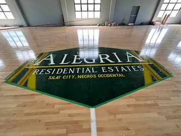 300sqm Lot For Sale in La Alegria Silay. Near Entrance Gate.