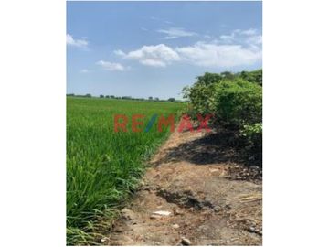 SE VENDE TERRENO EN TUMBES