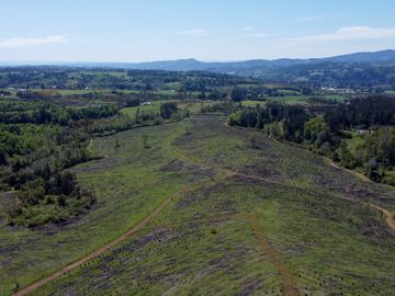 Campo en Temuco Subdividido en 135 lotes de 5000m² a 10 minutos de la ciudad