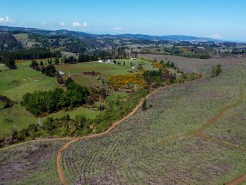 Campo en Temuco Subdividido en 135 lotes de 5000m² a 10 minutos de la ciudad