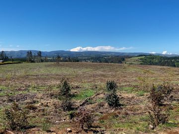 Campo en Temuco Subdividido en 135 lotes de 5000m² a 10 minutos de la ciudad