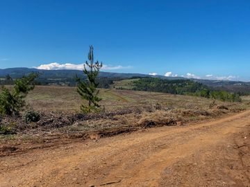 Campo en Temuco Subdividido en 135 lotes de 5000m² a 10 minutos de la ciudad