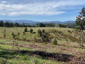 Campo en Temuco Subdividido en 135 lotes de 5000m² a 10 minutos de la ciudad