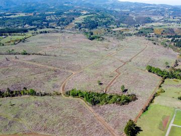 Campo en Temuco Subdividido en 135 lotes de 5000m² a 10 minutos de la ciudad