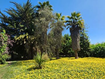 VENTA DE PARCELA EN CONDOMINIO, SECTOR CARAMPANGUE, ISLA DE MAIPO. A 45 MINUTOS DE STGO.  Valor: 10.500 UF Gastos comunes: $100.000  CARACTERÍSTICAS