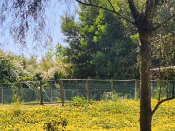 VENTA DE PARCELA EN CONDOMINIO, SECTOR CARAMPANGUE, ISLA DE MAIPO. A 45 MINUTOS DE STGO.  Valor: 10.500 UF Gastos comunes: $100.000  CARACTERÍSTICAS