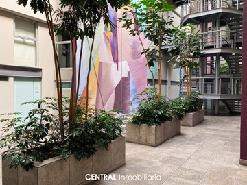 Moderno Departamento en Venta  2 Recamaras |Ubicación Privilegiada  Condesa Norte | Opción 3 Recamara | Remodelación Reciente | Ideal para disfrutar l