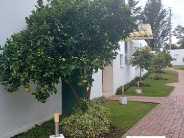 Espectacular Casa de Venta, doble seguridad en conjunto de 4 casas. LA VIÑA-TUMBACO