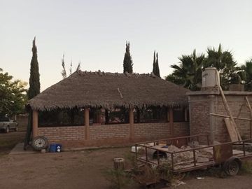 Terreno Huerta de Nuez en Venta en San Ignacio Rio Muerto a un lado del Municipio