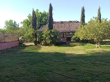 Terreno Huerta de Nuez en Venta en San Ignacio Rio Muerto a un lado del Municipio