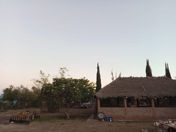 Terreno Huerta de Nuez en Venta en San Ignacio Rio Muerto a un lado del Municipio