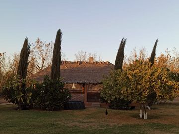 Terreno Huerta de Nuez en Venta en San Ignacio Rio Muerto a un lado del Municipio