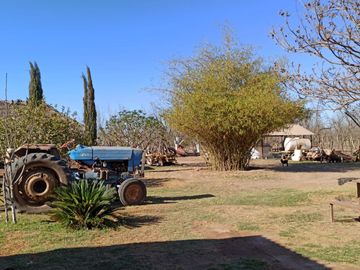 Terreno Huerta de Nuez en Venta en San Ignacio Rio Muerto a un lado del Municipio