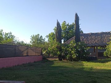 Terreno Huerta de Nuez en Venta en San Ignacio Rio Muerto a un lado del Municipio