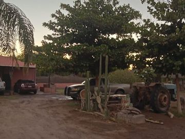 Terreno Huerta de Nuez en Venta en San Ignacio Rio Muerto a un lado del Municipio
