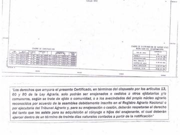 Terreno Huerta de Nuez en Venta en San Ignacio Rio Muerto a un lado del Municipio