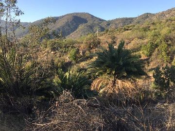 Vende Parcela en  Oasis La Campana - Quillota