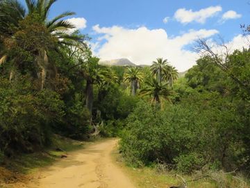 Vende Parcela en  Oasis La Campana - Quillota