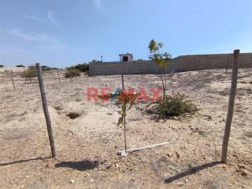 Terreno En Venta - Caserio La Palma.ID:1114762