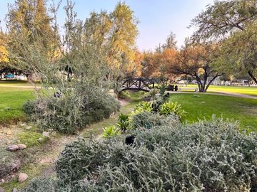 Los Bosques, Piedra Roja, Chicureo Oriente