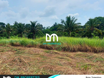 For Sale: Vacant Lots in Brgy. Tolentino, Tagaytay City