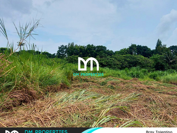 For Sale: Vacant Lots in Brgy. Tolentino, Tagaytay City