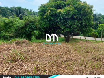 For Sale: Vacant Lots in Brgy. Tolentino, Tagaytay City